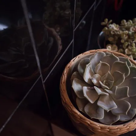 In Flat By, Center, Skyline *