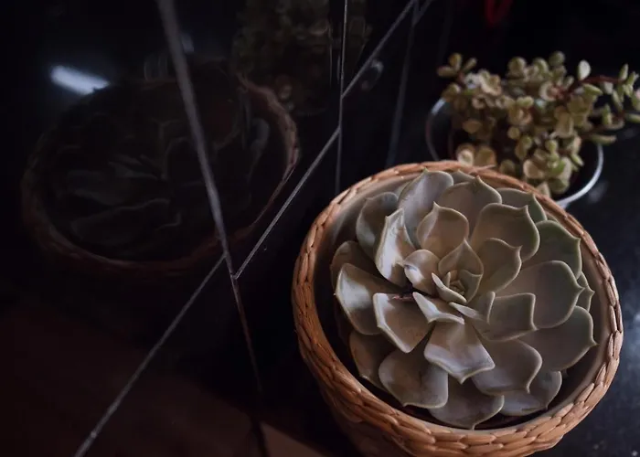 In Flat By, Center, Skyline *